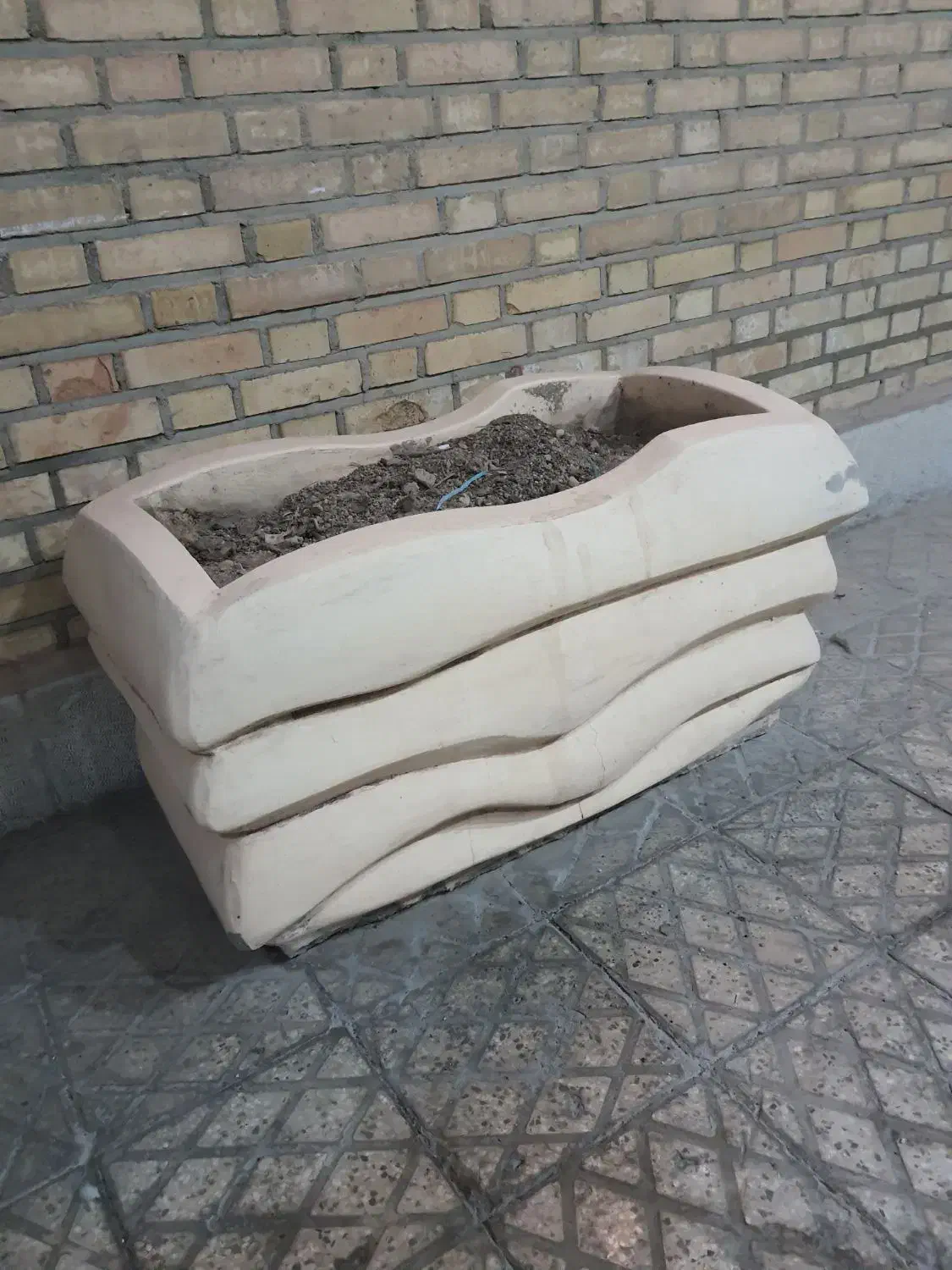 گلدان بزرگ|گل و گیاه طبیعی|اصفهان, جلفا|دیوار