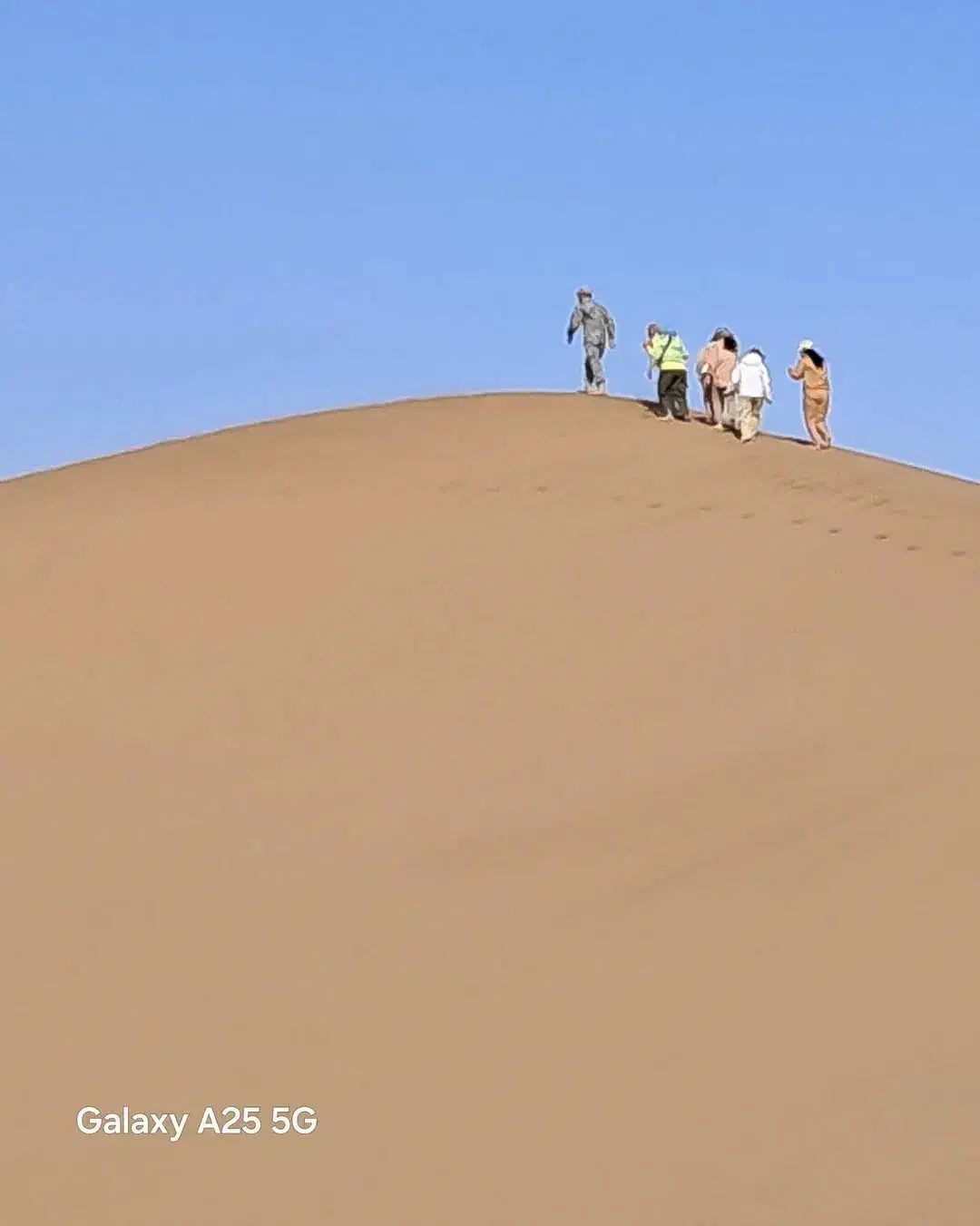 برنامه های شخصی و گروه ی کویرگردی|تور و چارتر|تهران, دانشگاه شریف|دیوار