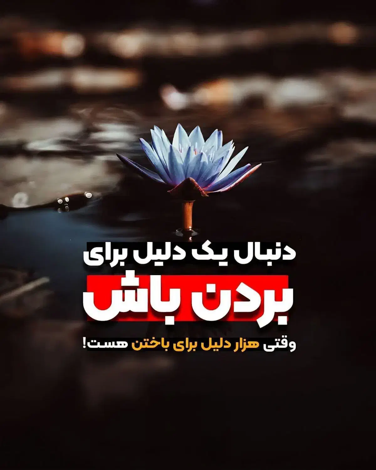 کاردرمنزل مخصوص بانوان|استخدام بازاریابی و فروش|شوشتر, |دیوار