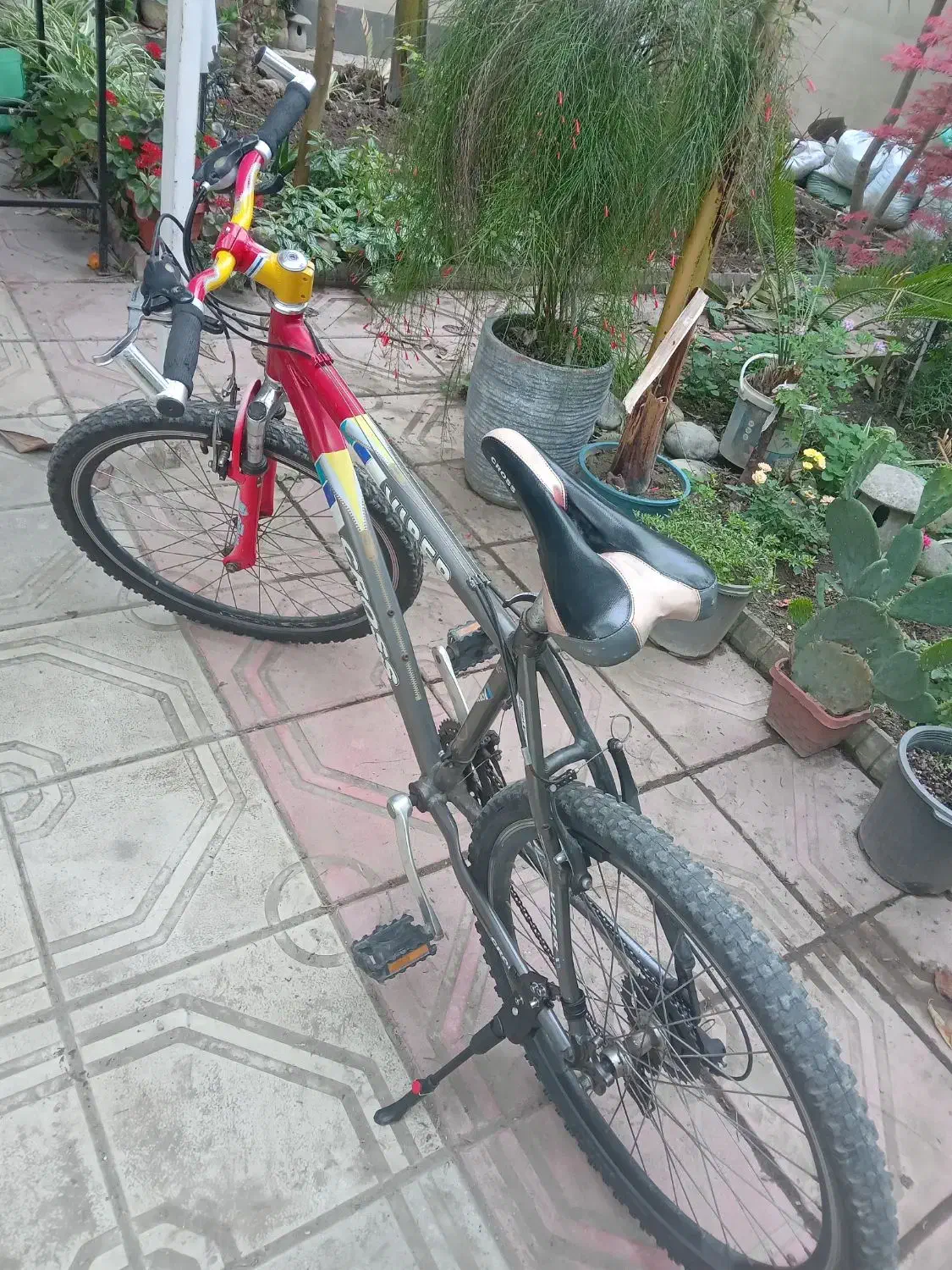 دوچرخه ۲۶ حرفه ای|دوچرخه، اسکیت، اسکوتر|آمل, |دیوار