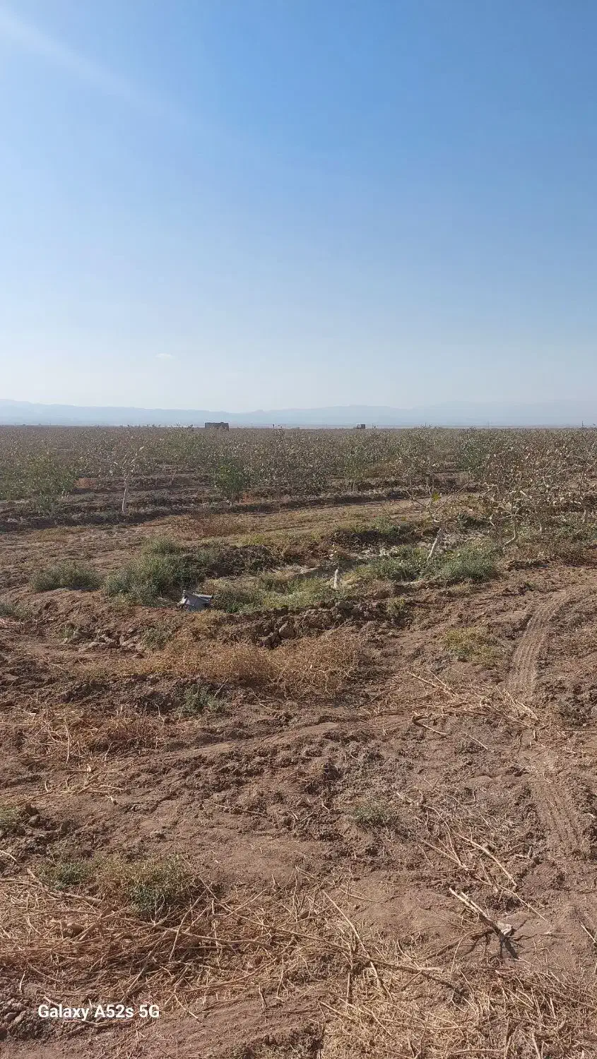 مشاوره کشت و کار ارگانیک|گل و گیاه طبیعی|مشهد, کلاهدوز|دیوار