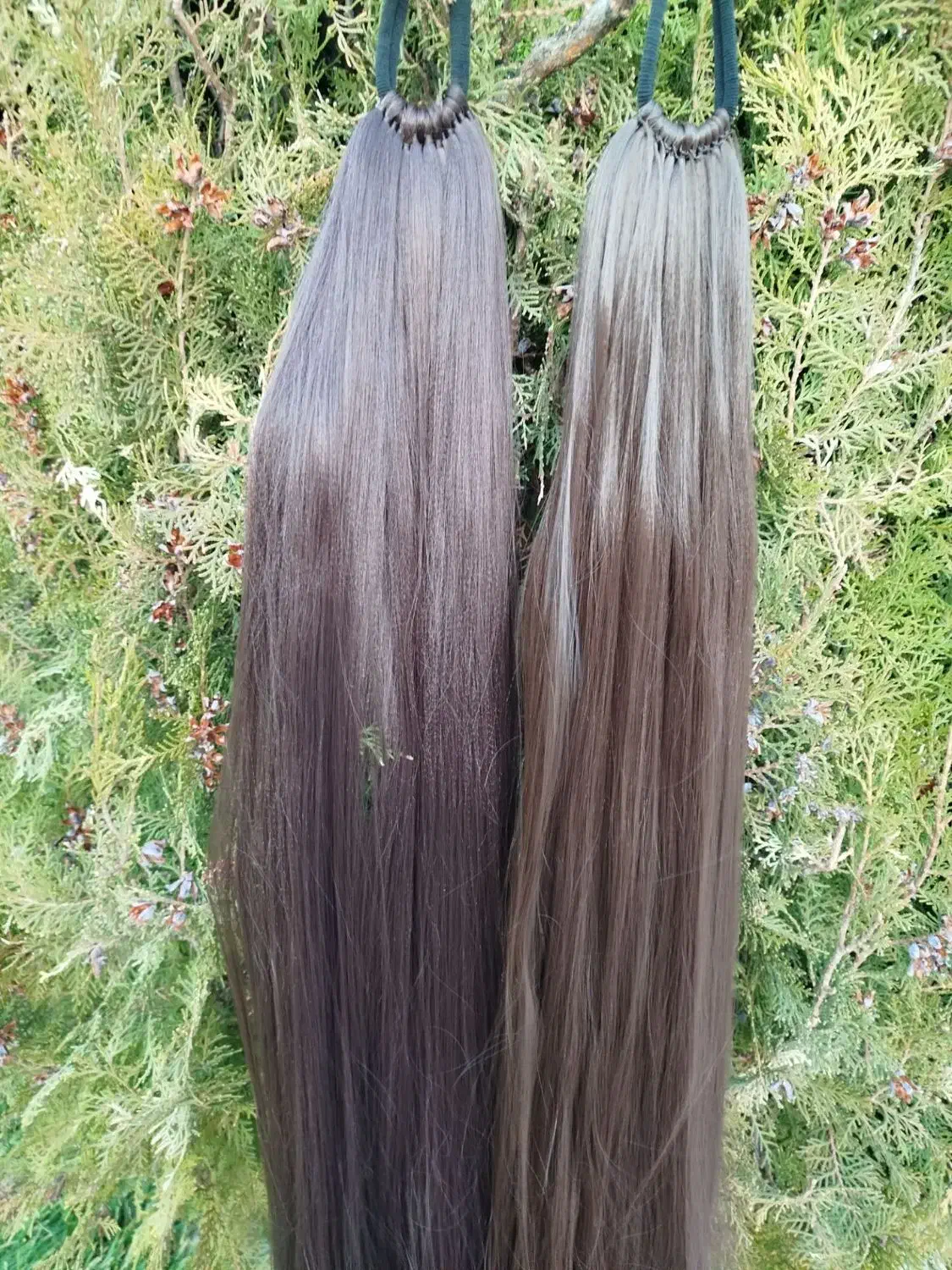 انواع دم اسبی های کش دار|آرایشی، بهداشتی، درمانی|مراغه, |دیوار