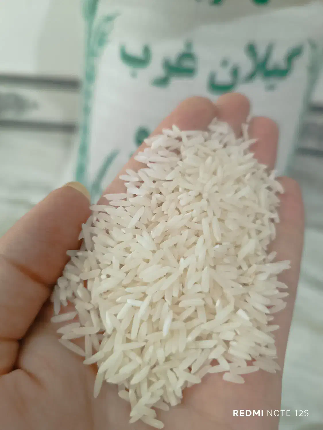 برنج طارم محلی دیره|خوردنی و آشامیدنی|گیلان غرب, |دیوار