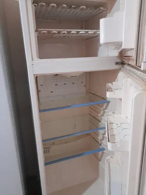 یخچال|یخچال و فریزر|طرقبه, |دیوار