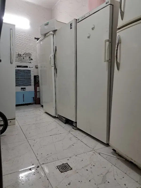 فریزر سالم پارس|یخچال و فریزر|شیراز, ده پیاله|دیوار