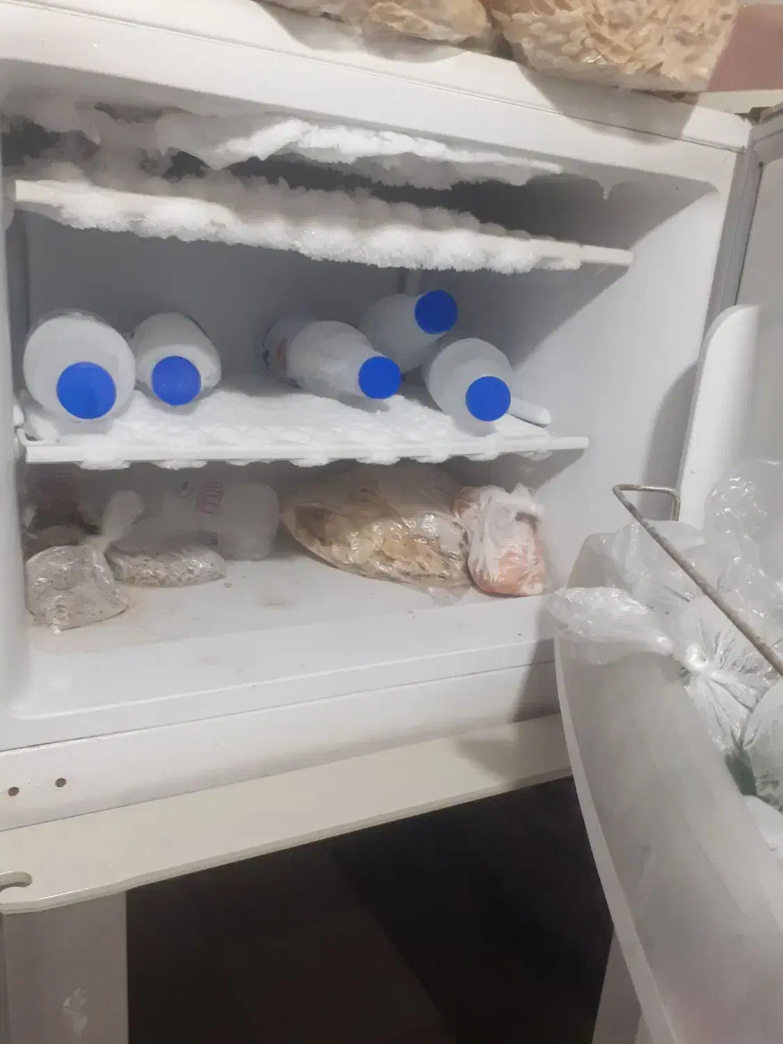 یخچال|یخچال و فریزر|بندرعباس, |دیوار