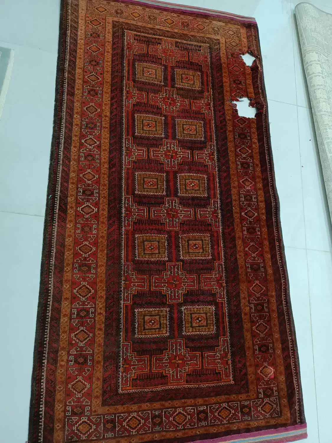 فرش دستباف،یک در دو|فرش|مشهد, انقلاب|دیوار