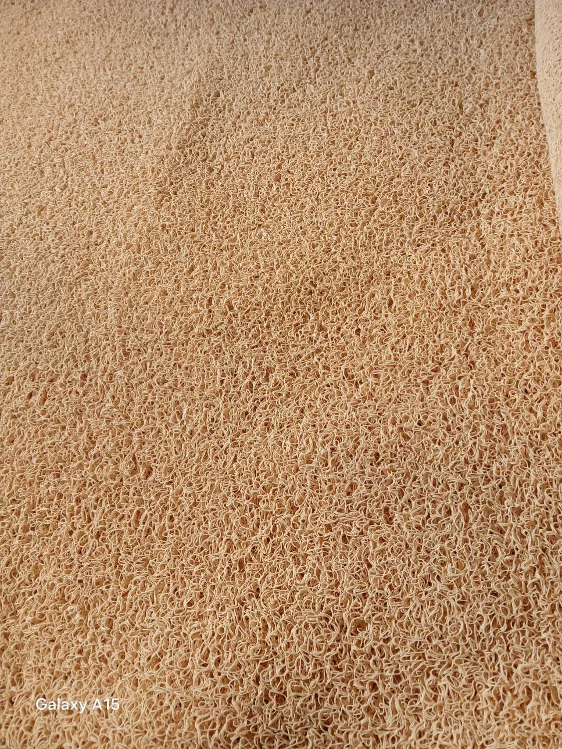 پادری پلاستیکی|پادری|خلخال, |دیوار