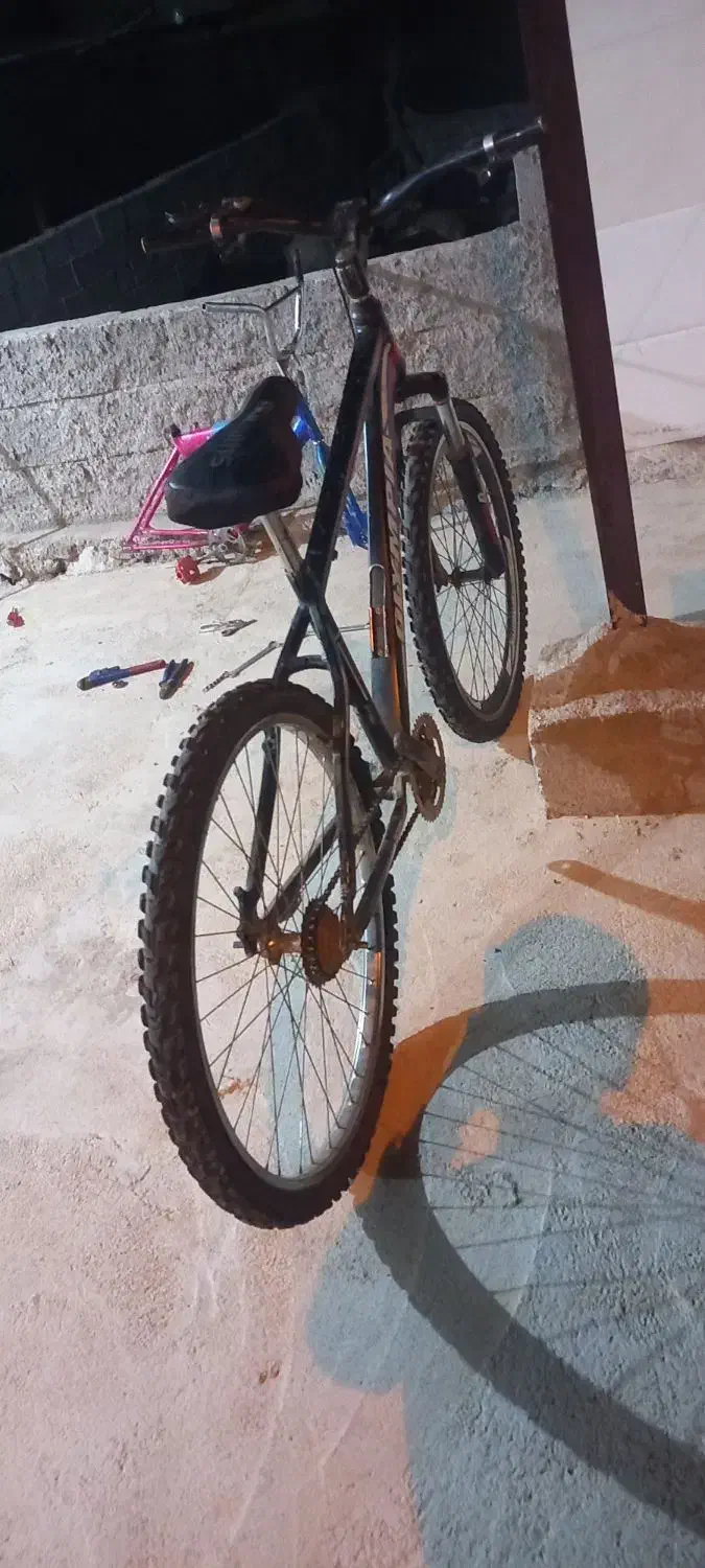 دوچرخه سواری|دوچرخه، اسکیت، اسکوتر|باشت, |دیوار