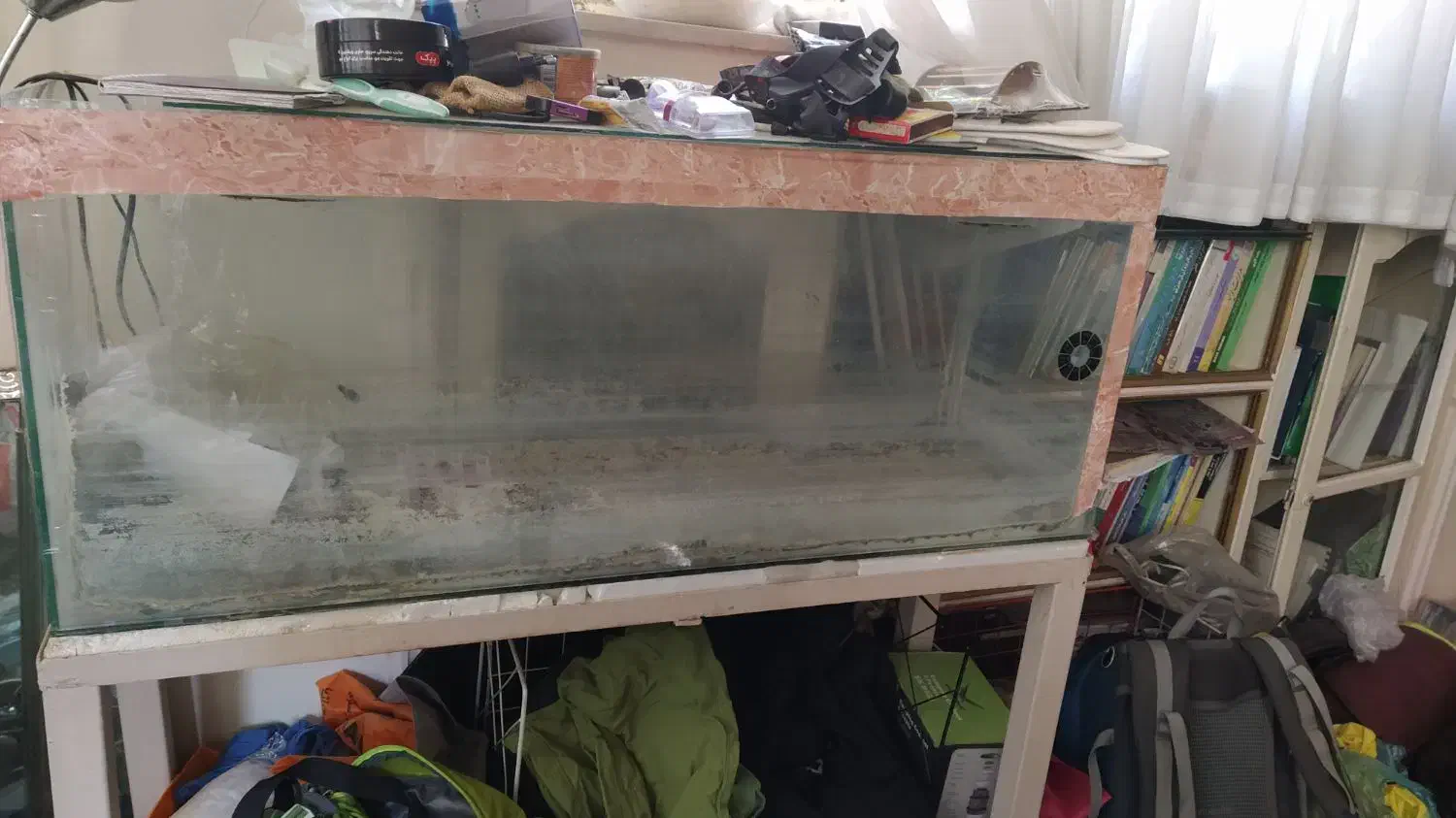 اکواریوم و پایه و لوازم|ماهی|قزوین, |دیوار