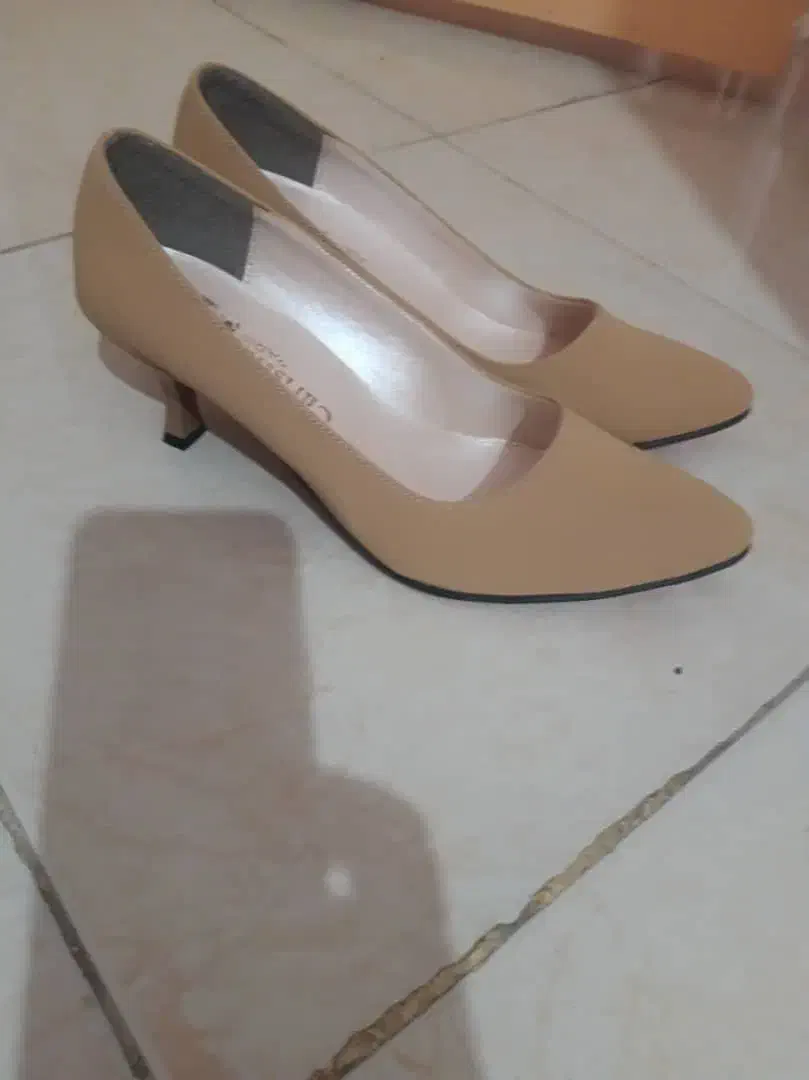 کیف وکفش مجلسی نو|کیف، کفش، کمربند|رشت, انصاری|دیوار