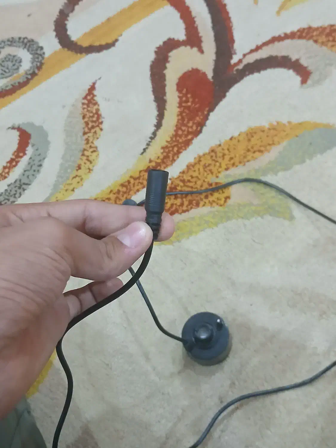 مه ساز آکواریوم|ماهی|بندرعباس, |دیوار