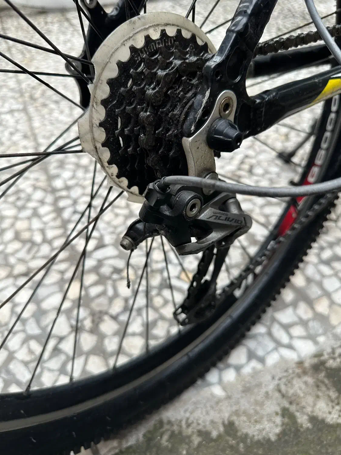 دوچرخه ویوا|دوچرخه، اسکیت، اسکوتر|رشت, دیلمان|دیوار