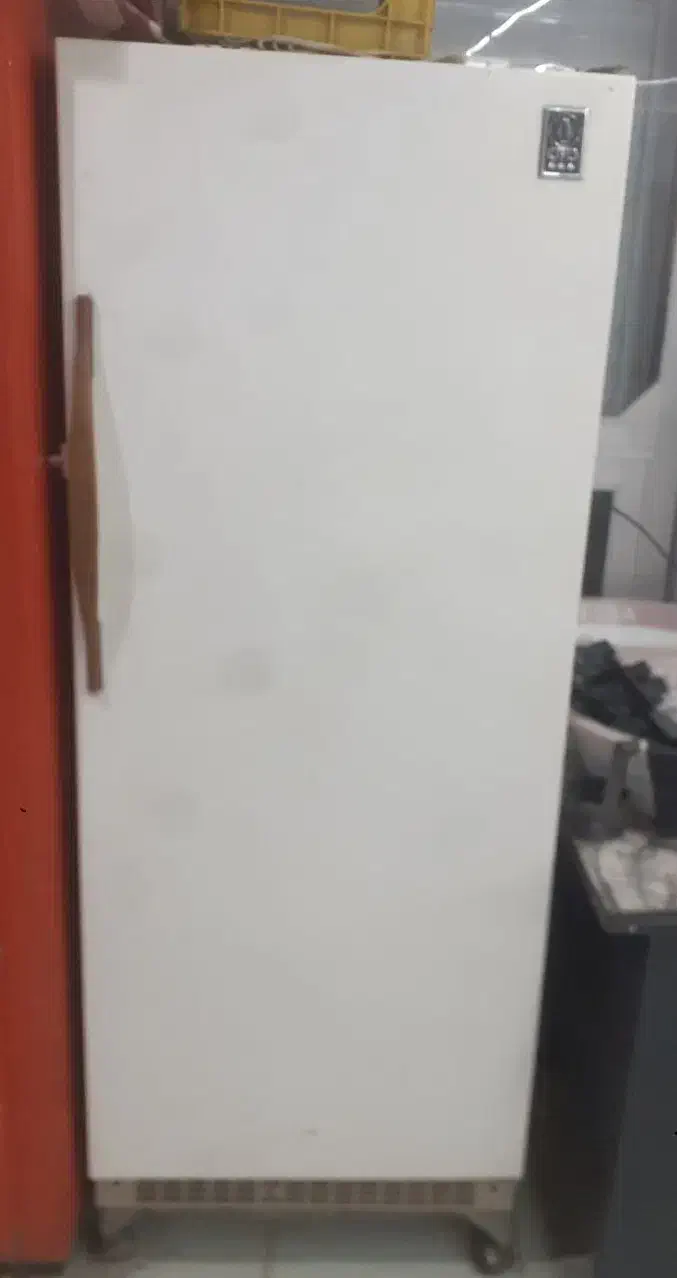 فروش فوری|فروشگاه و مغازه|مرودشت, ژیان|دیوار