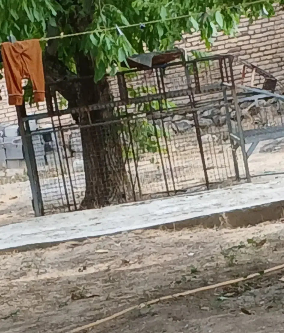 باربند نیسان مسقف|قطعات یدکی و لوازم جانبی|کیار, |دیوار