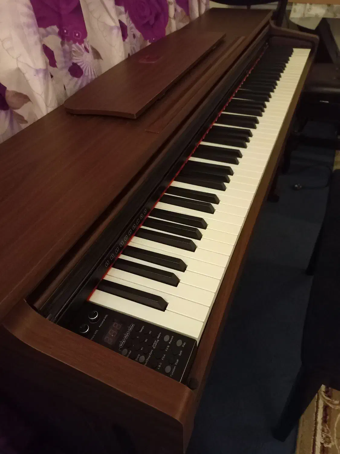 پیانوی برگمولر BM-280|پیانو، کیبورد، آکاردئون|لاهیجان, رجایی|دیوار