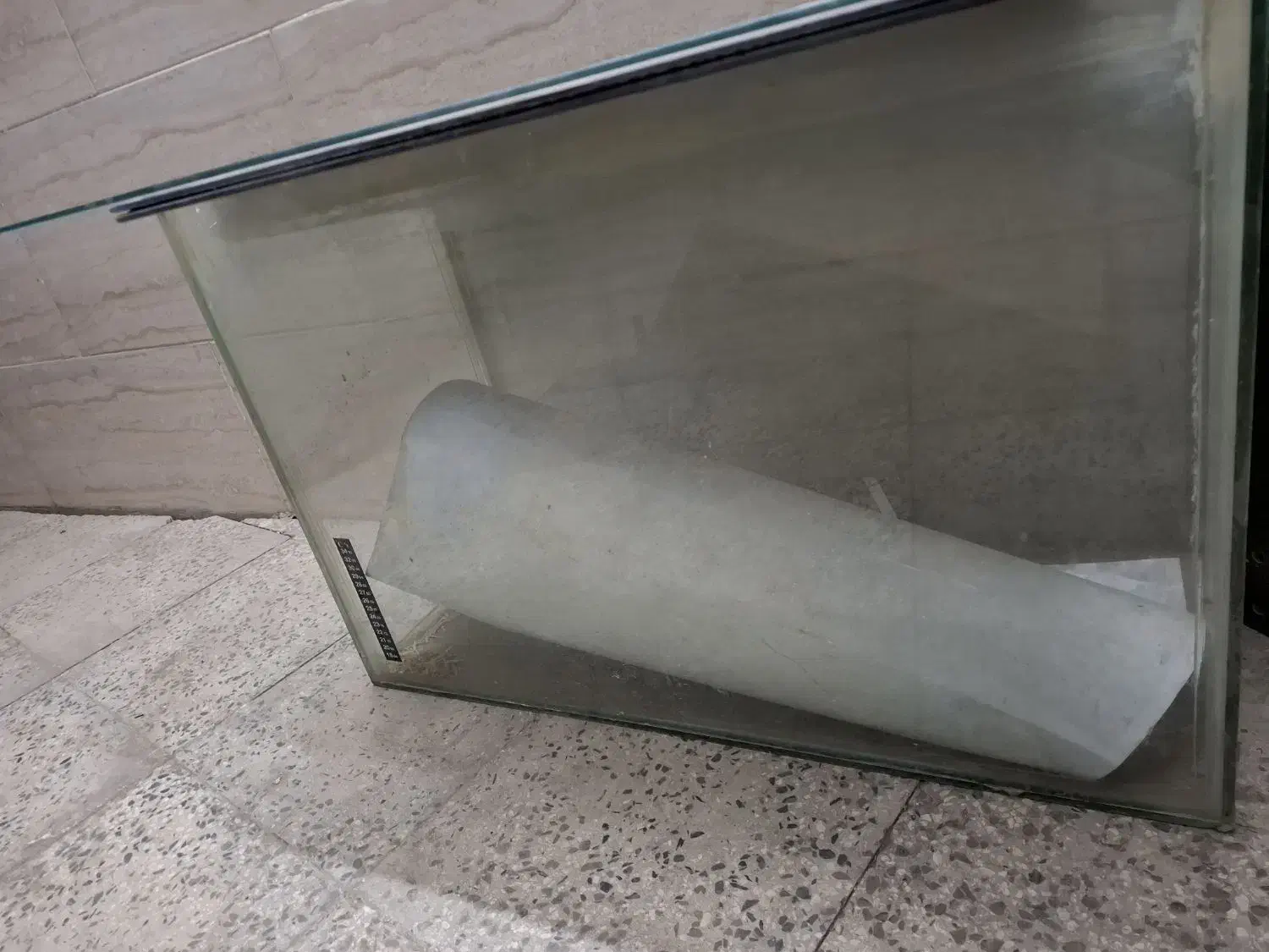 آکواریوم|ماهی|شهر ری, شهرری|دیوار