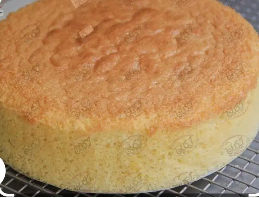 اسفنج آماده کیک|خوردنی و آشامیدنی|مشهد, هفت تیر (حافظ)|دیوار