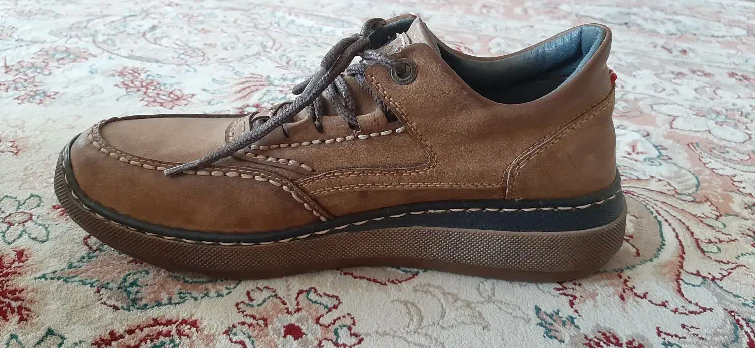 کفش|کیف، کفش، کمربند|بجنورد, |دیوار