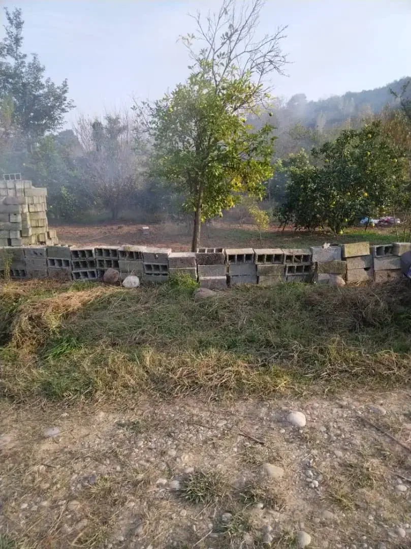 فروش زمین ۲۰۰ متری با ویوی بینظیر به منطقه|فروش زمین و ملک کلنگی|مرزیکلا, |دیوار