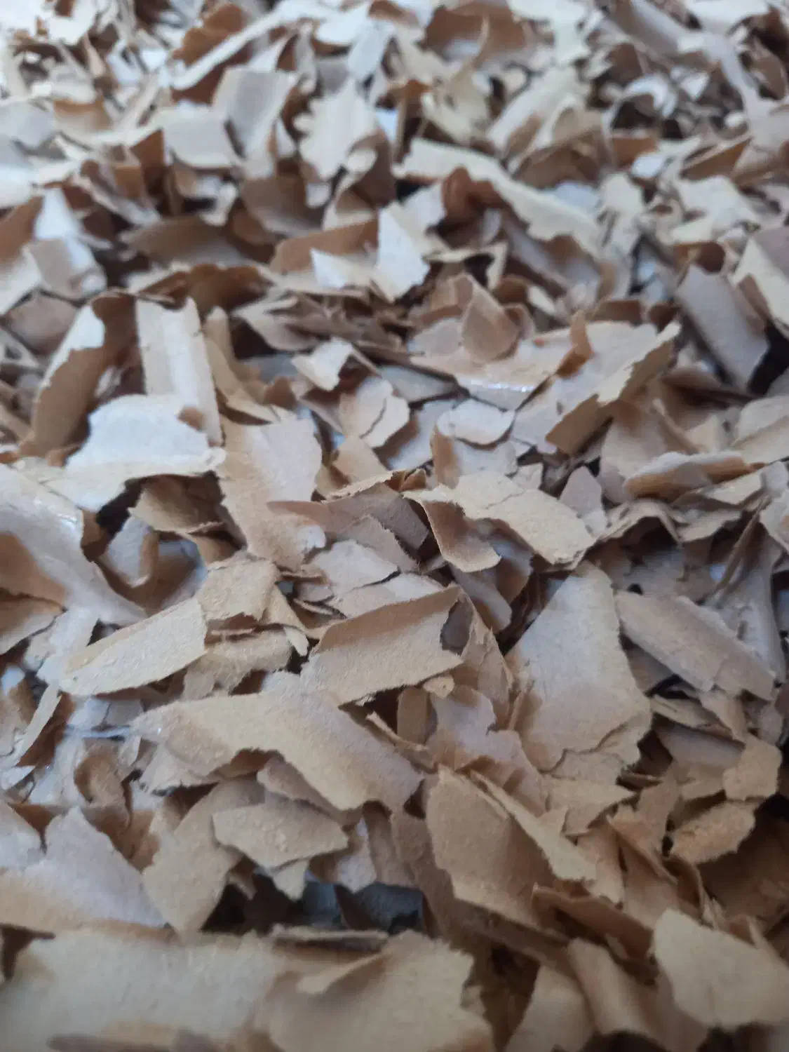 پوشال خردشده کاغذ|عمدهفروشی|پاکدشت, پاکدشت (مامازند)|دیوار