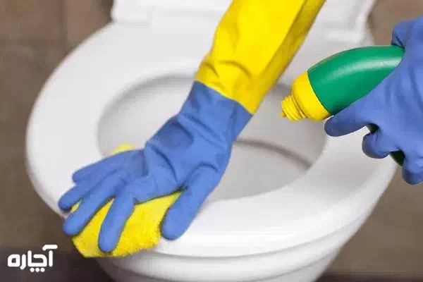 خدمتکار شخصی منزل|خدمات نظافت|تهران, اقدسیه|دیوار