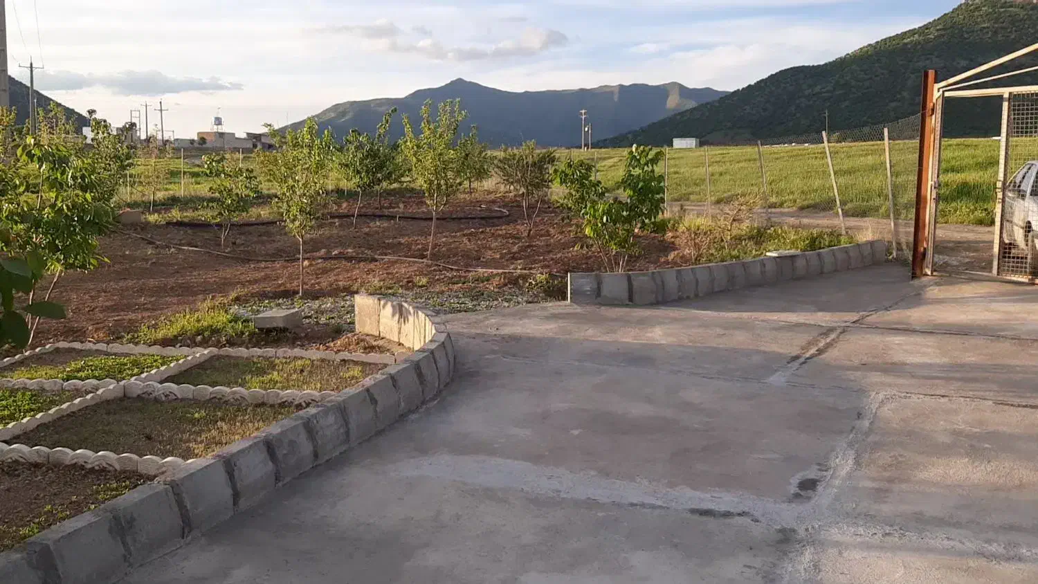 باغ آماده روبروی گویزله|فروش زمین و ملک کلنگی|ننور, |دیوار