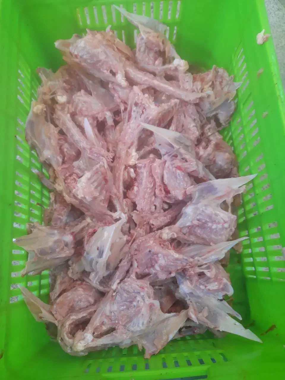 اسکلت مرغ تازه و منجمد برای سگ و پناهگاه|لوازم جانبی حیوانات|صفادشت, |دیوار