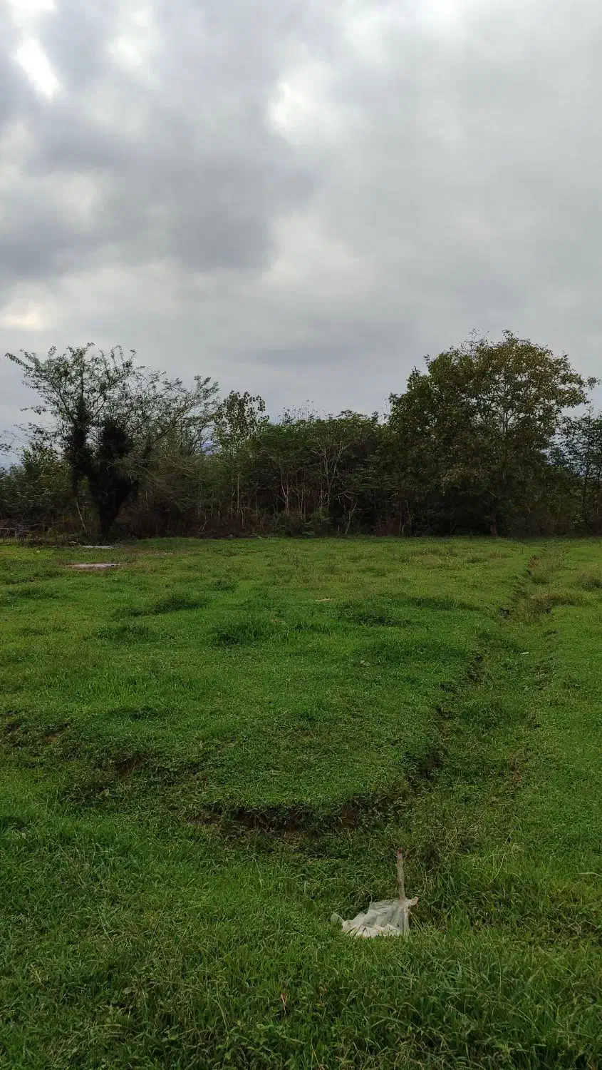 340 متر زمین شهری 220 متر حریم در اختیار رودخونه|فروش زمین و ملک کلنگی|گوراب زرمیخ, |دیوار