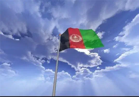 قابل توجه اتباع محترم کاملا قانونی|خدمات مالی، حسابداری، بیمه|تهران, امام خمینی|دیوار