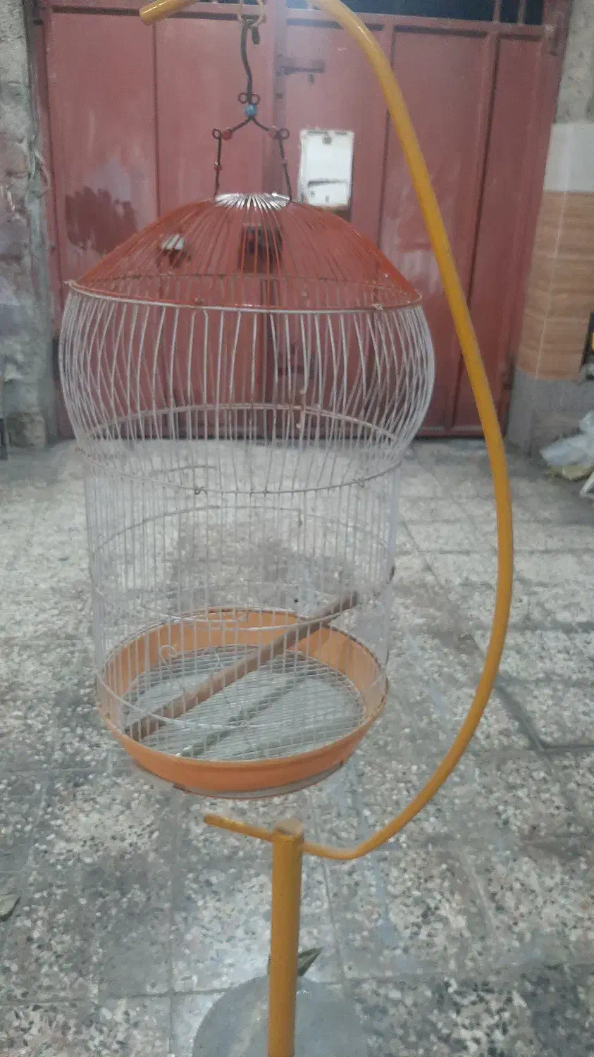 قفس پرنده|لوازم جانبی حیوانات|بوشهر, |دیوار