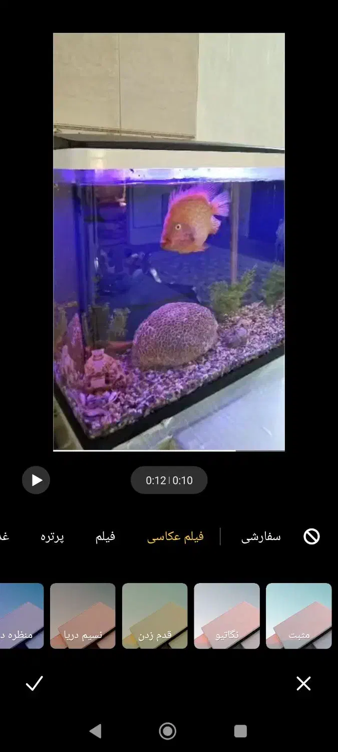 فروش اکواریم با ماهی های گوشت خوار|ماهی|فردیس, شهرک ۱۱۰|دیوار