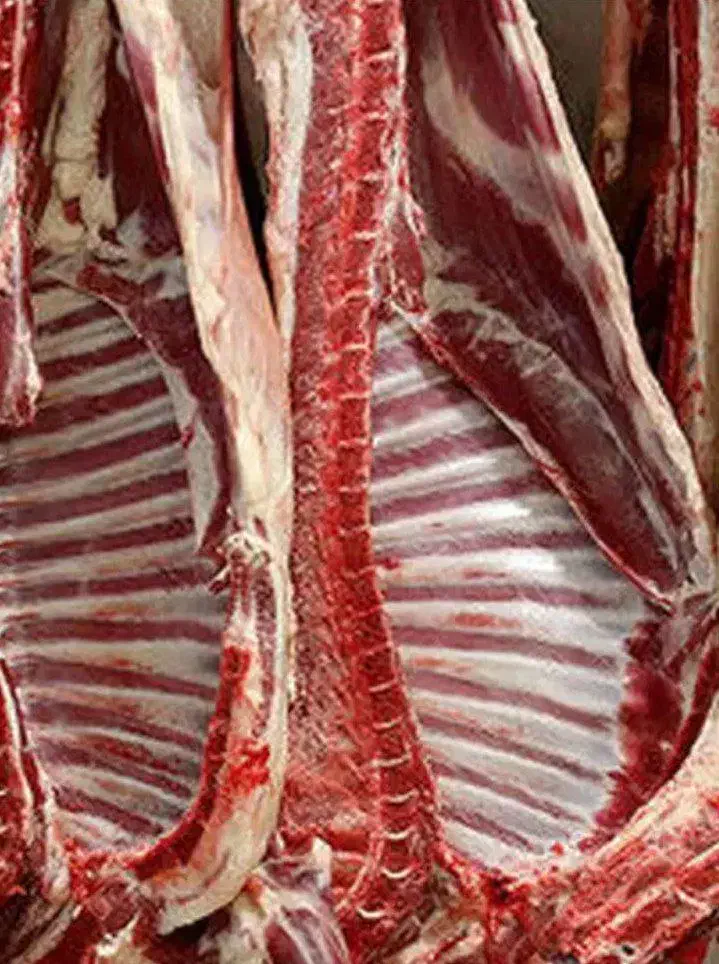 پخش گوشت|عمده‌فروشی|اصفهان, تخت فولاد|دیوار