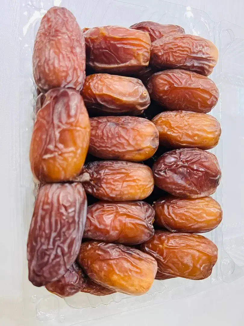 خرمای مجول (گرانترین خرمای دنیا) درشت و گوشتی|خوردنی و آشامیدنی|شیراز, گل سرخ|دیوار