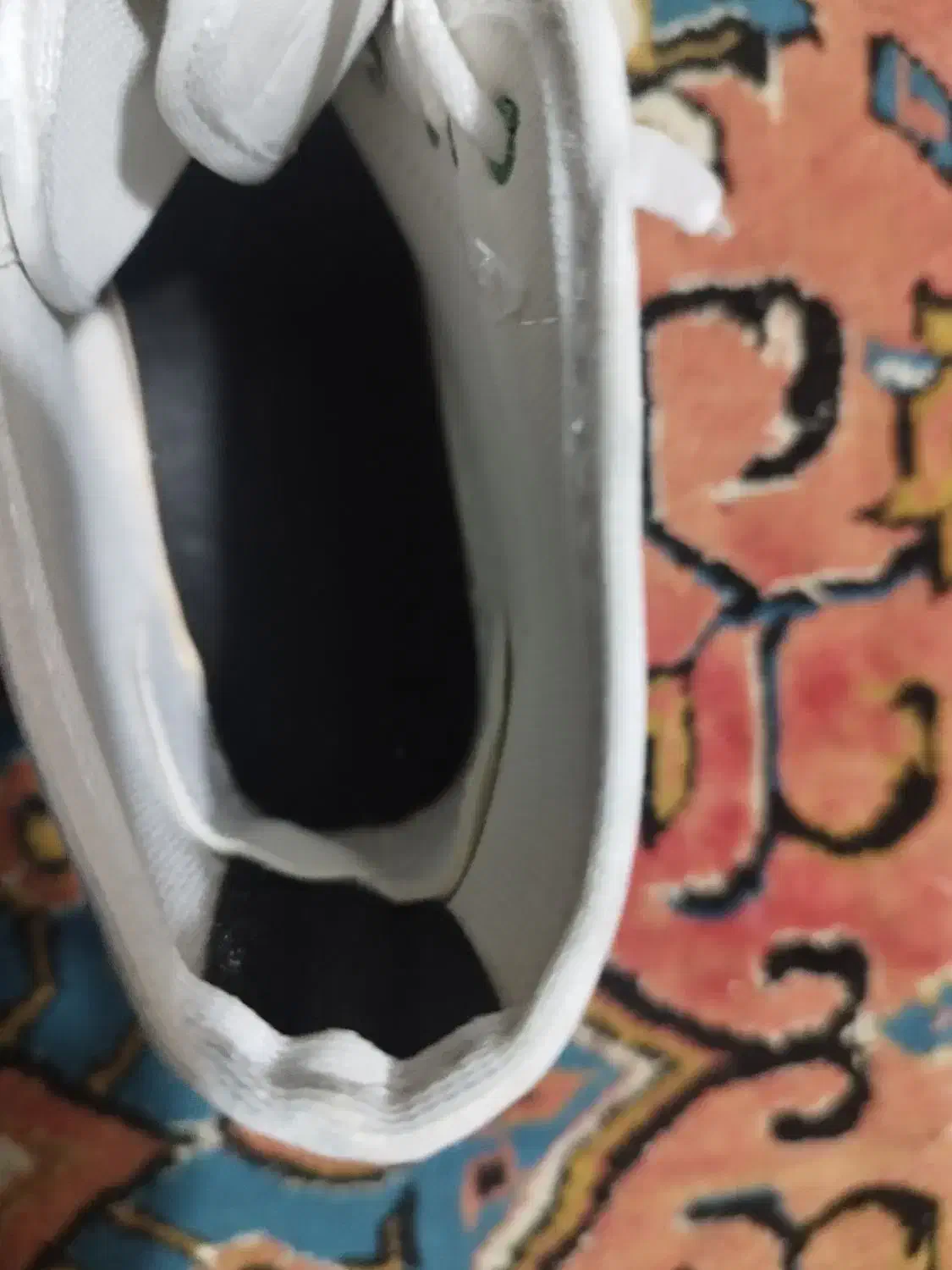 کفش زنانه|کیف، کفش، کمربند|اهواز, لشکرآباد|دیوار