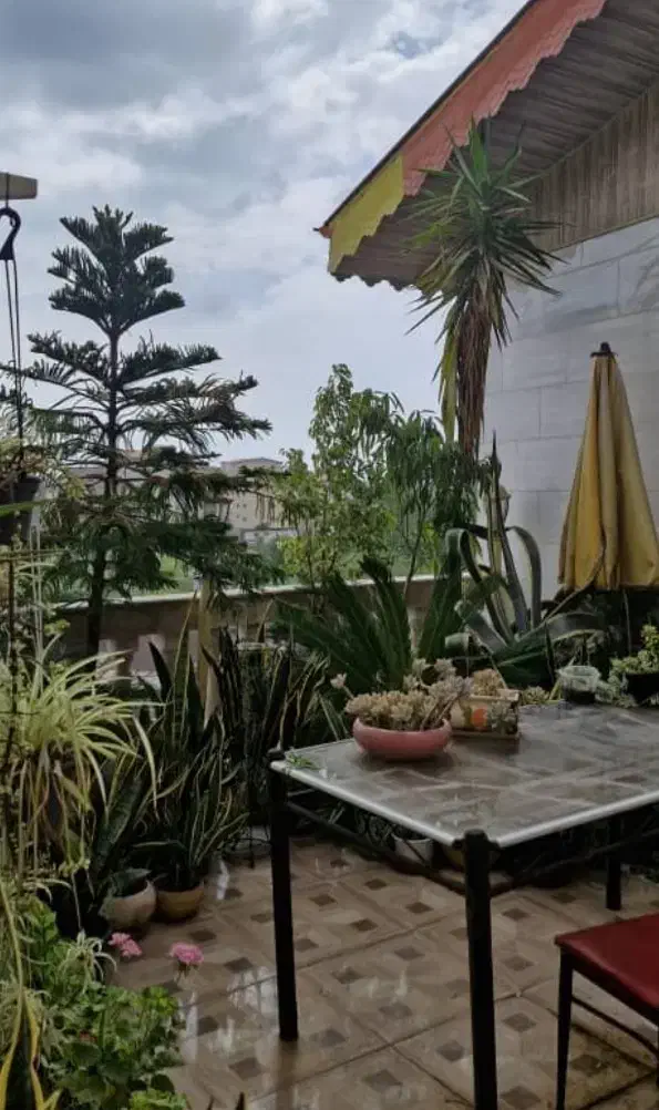 پنت هاوس یک واحد ۱۲۰ با ویوی ماندگار جهاد|فروش آپارتمان|رشت, سیا اسطلخ|دیوار