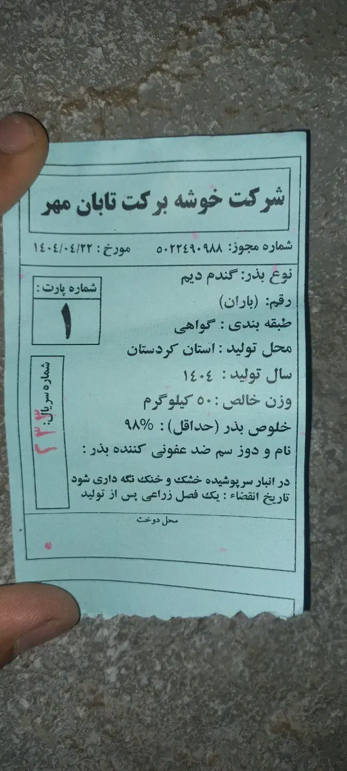 بذر گندم باران|گل و گیاه طبیعی|بیلوار, |دیوار