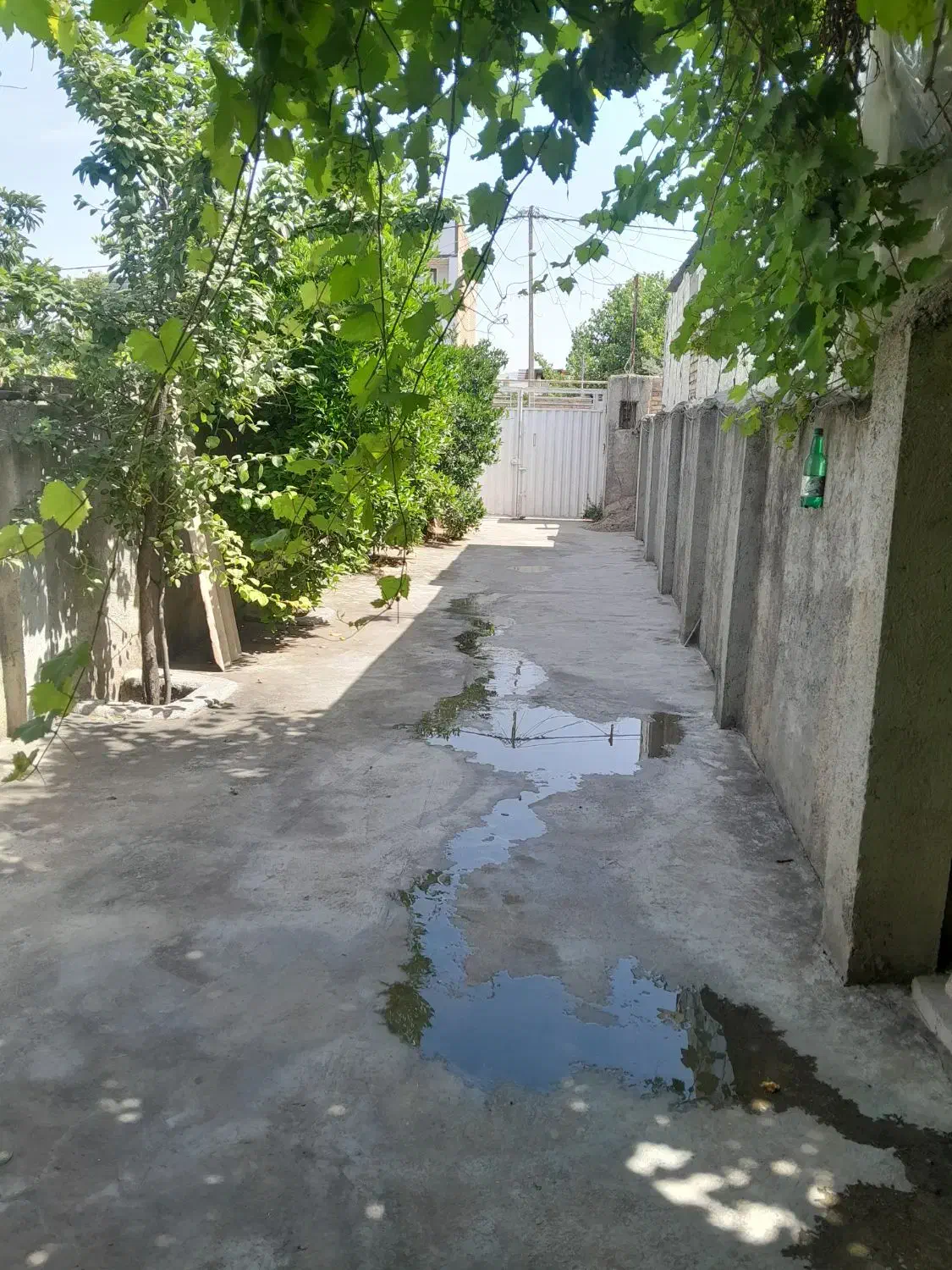 خانه ویلایی دربستی|اجارهٔ خانه و ویلا|کلاله, |دیوار