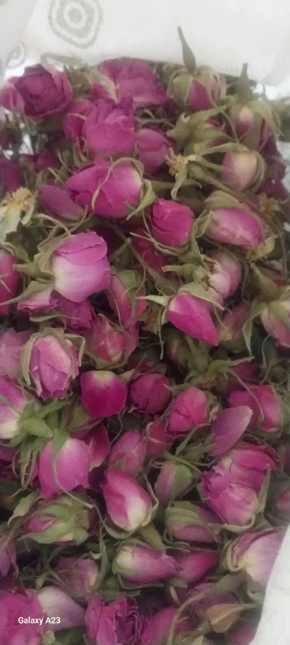 گل محمدی|خوردنی و آشامیدنی|تهران, مشیریه|دیوار