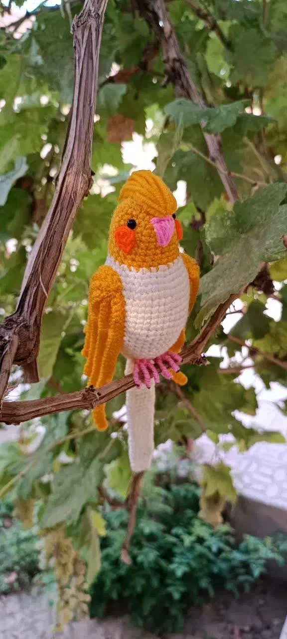 عروسک عروس هلندی|اسباببازی بچه|یزد, |دیوار