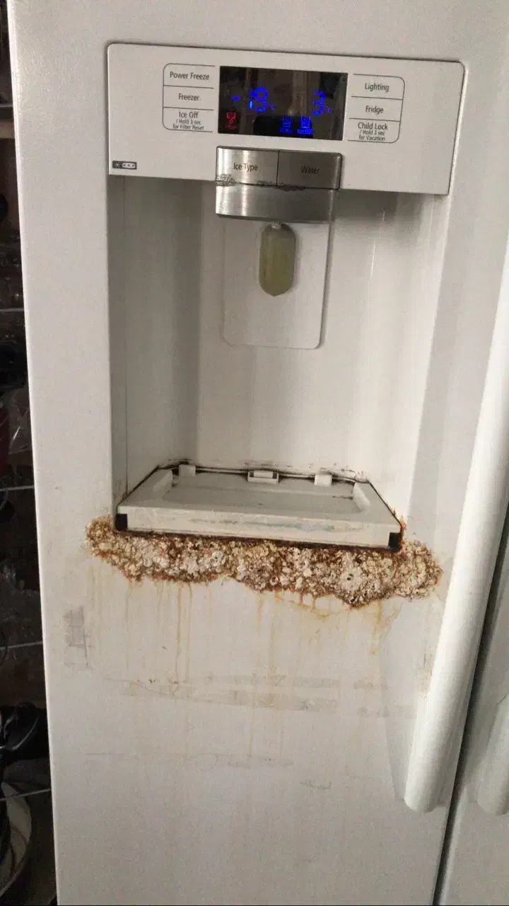 رنگ کردن یخچال درمحل|خدمات پیشه و مهارت|تهران, تهران‌ویلا|دیوار