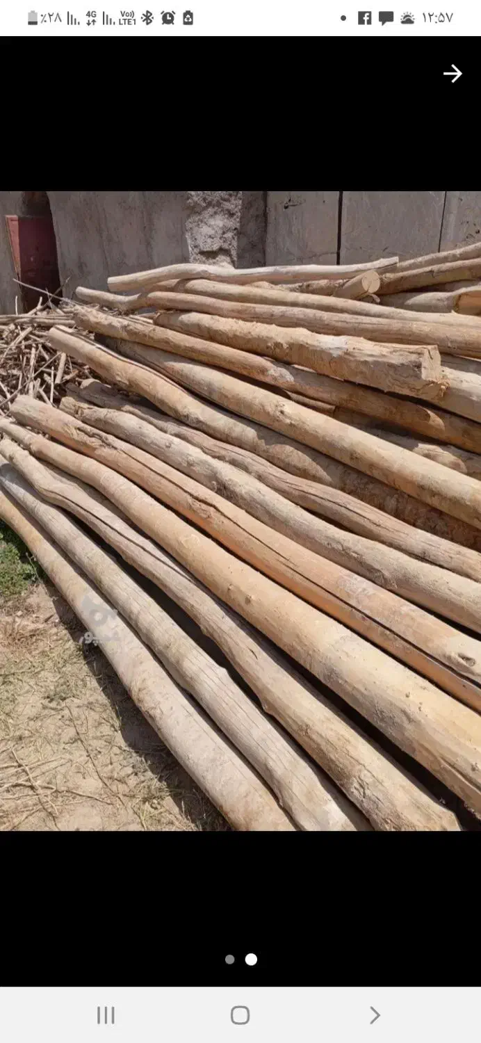 فروش و خرید انواع چوب ضایعاتی|عمده‌فروشی|تهران, یاخجی آباد|دیوار