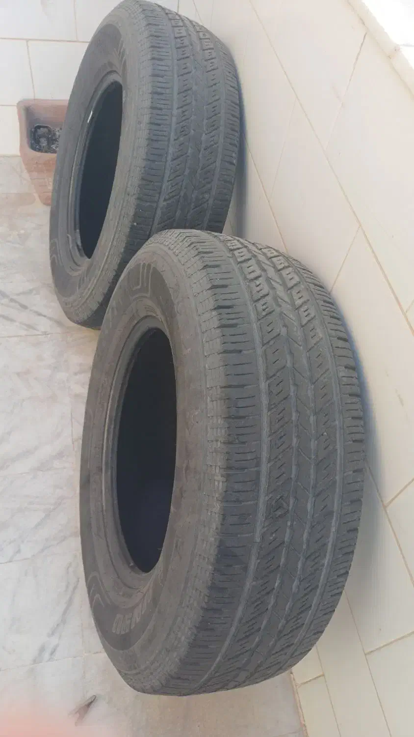 لاستیک|قطعات یدکی و لوازم جانبی|یزد, |دیوار