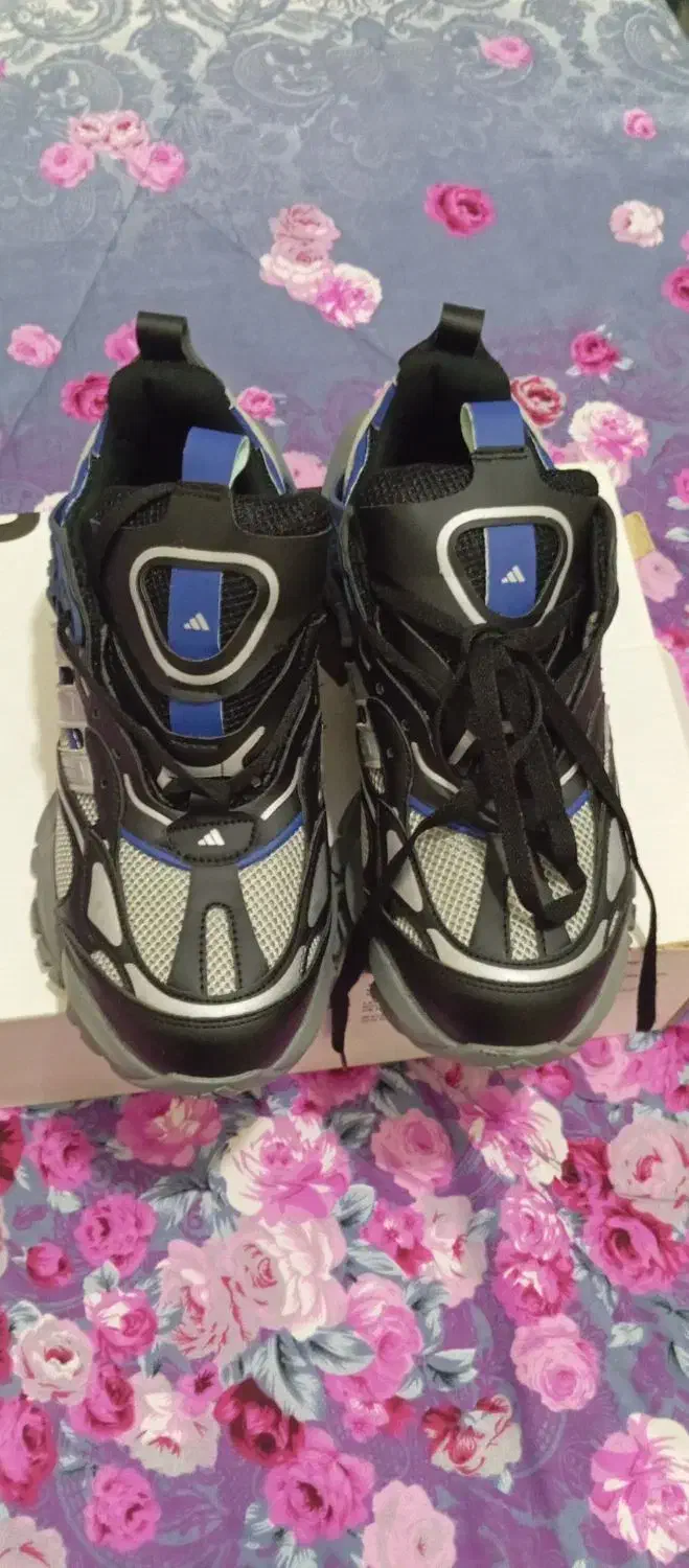 کتونی نو|کیف، کفش، کمربند|شهریار, اسد‌آباد|دیوار