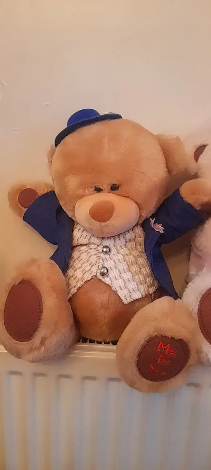 دوتا خرس خارجی پولیشی|اسباببازی بچه|تهران, درب دوم|دیوار