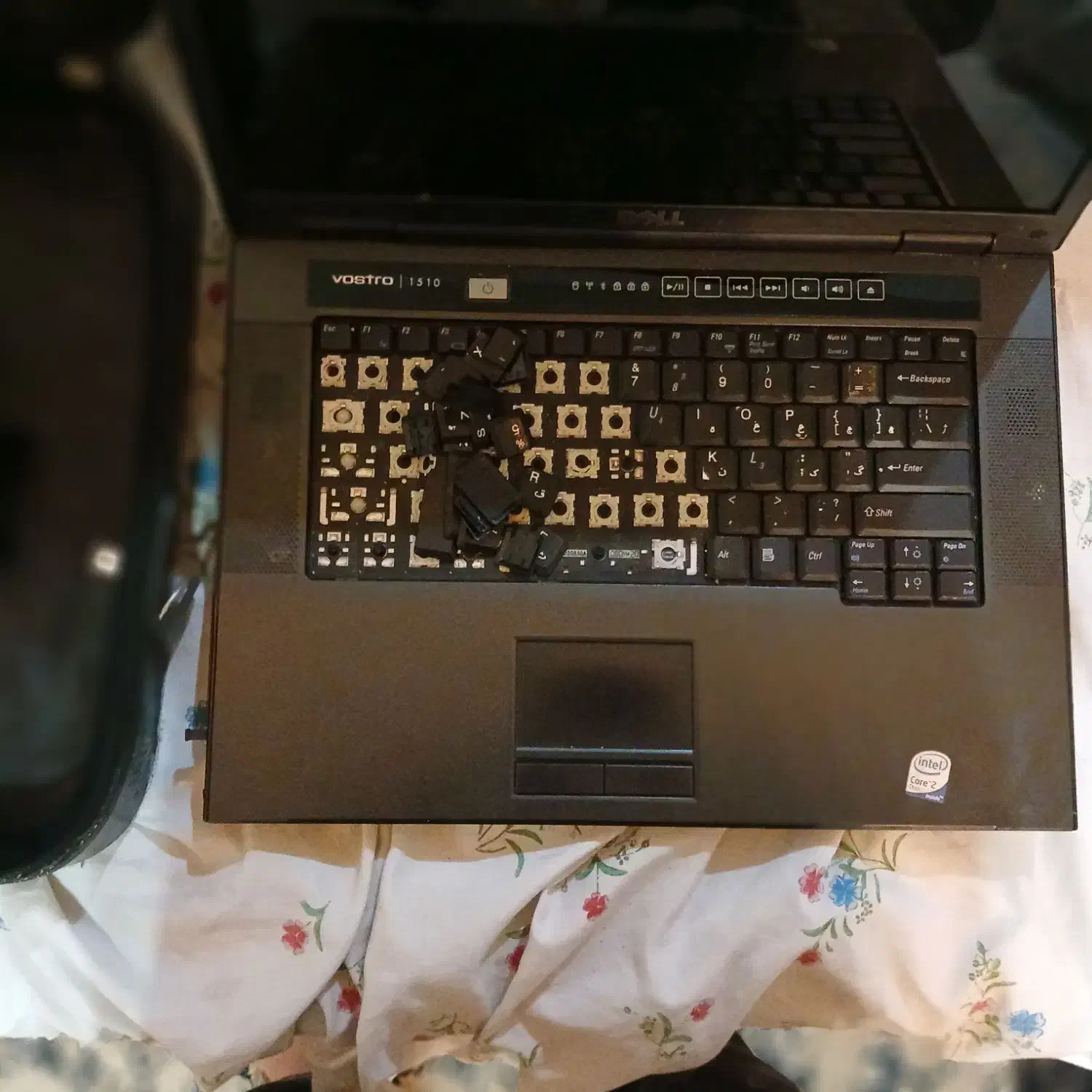 لپ تاب dell سالم|رایانه همراه|پرند, فاز ۶|دیوار