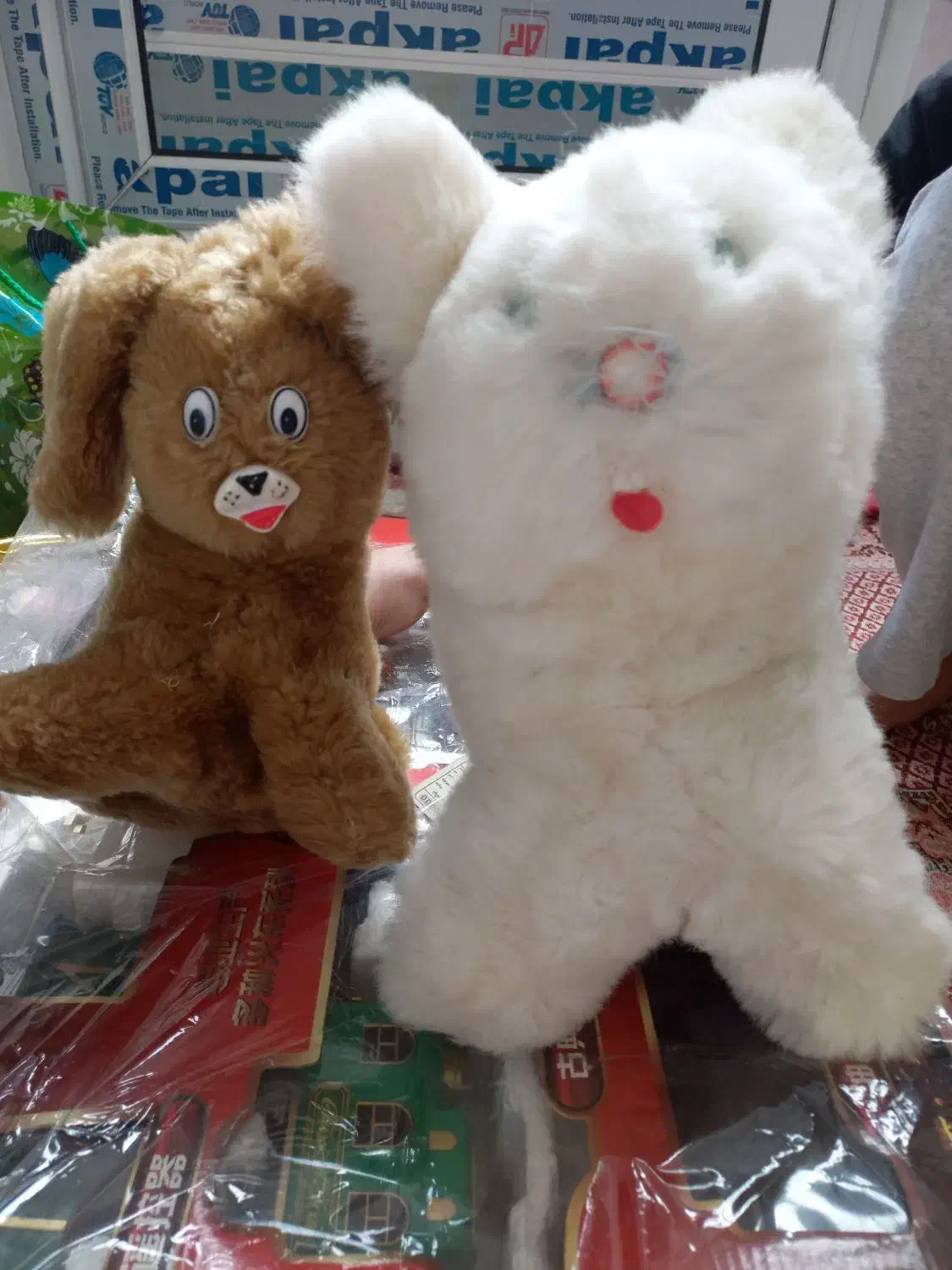 عروسک|کلکسیون و سرگرمی|مرند, |دیوار