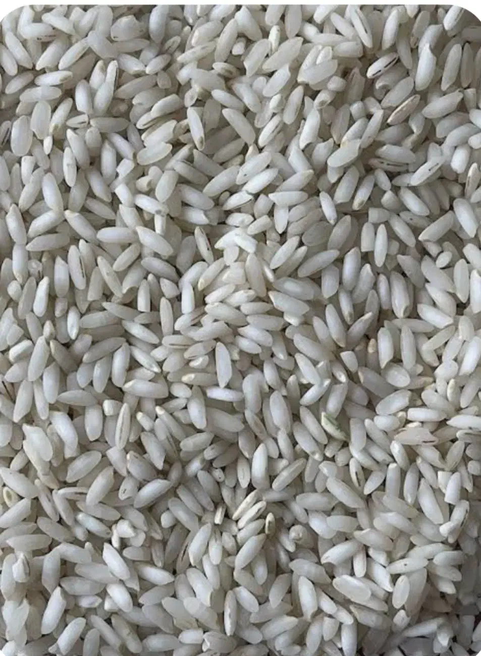 ارزانسرای برنج آناهیتا|خوردنی و آشامیدنی|پردیس, فاز ۲|دیوار