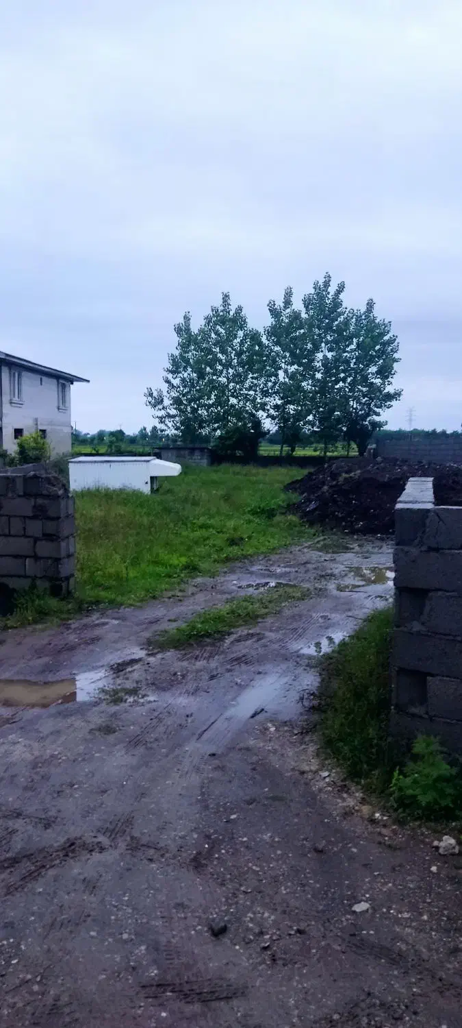 زمین مسکونی سنددار 300متری|فروش زمین و ملک کلنگی|پره‌سر, |دیوار