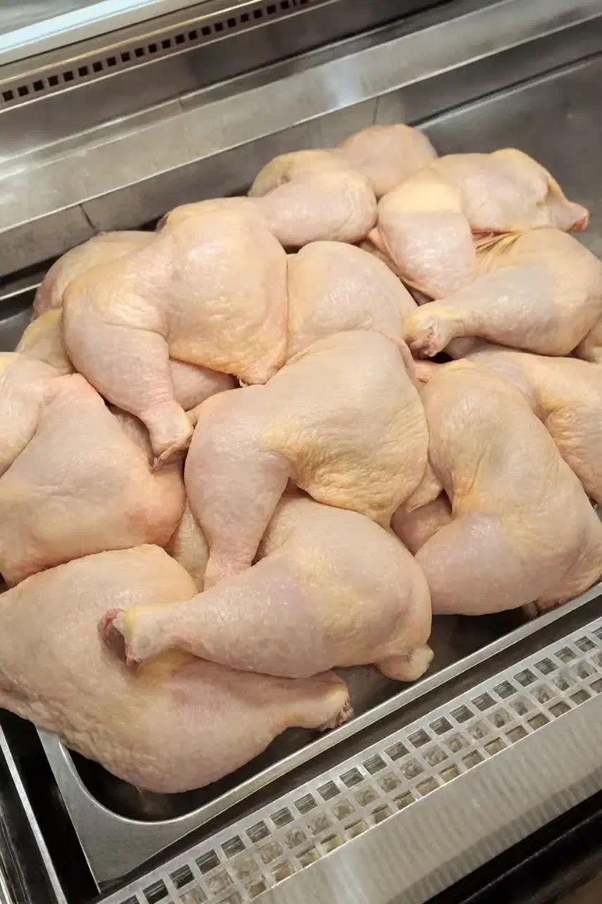 بمب اول هفته،ران فقط ۹۹|خدمات پذیرایی، مراسم|یزد, |دیوار